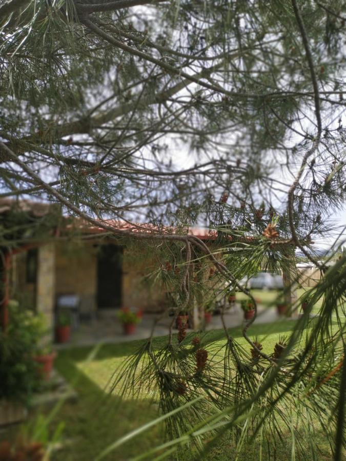 Konaki Guesthouse Ormos Panagias Ngoại thất bức ảnh